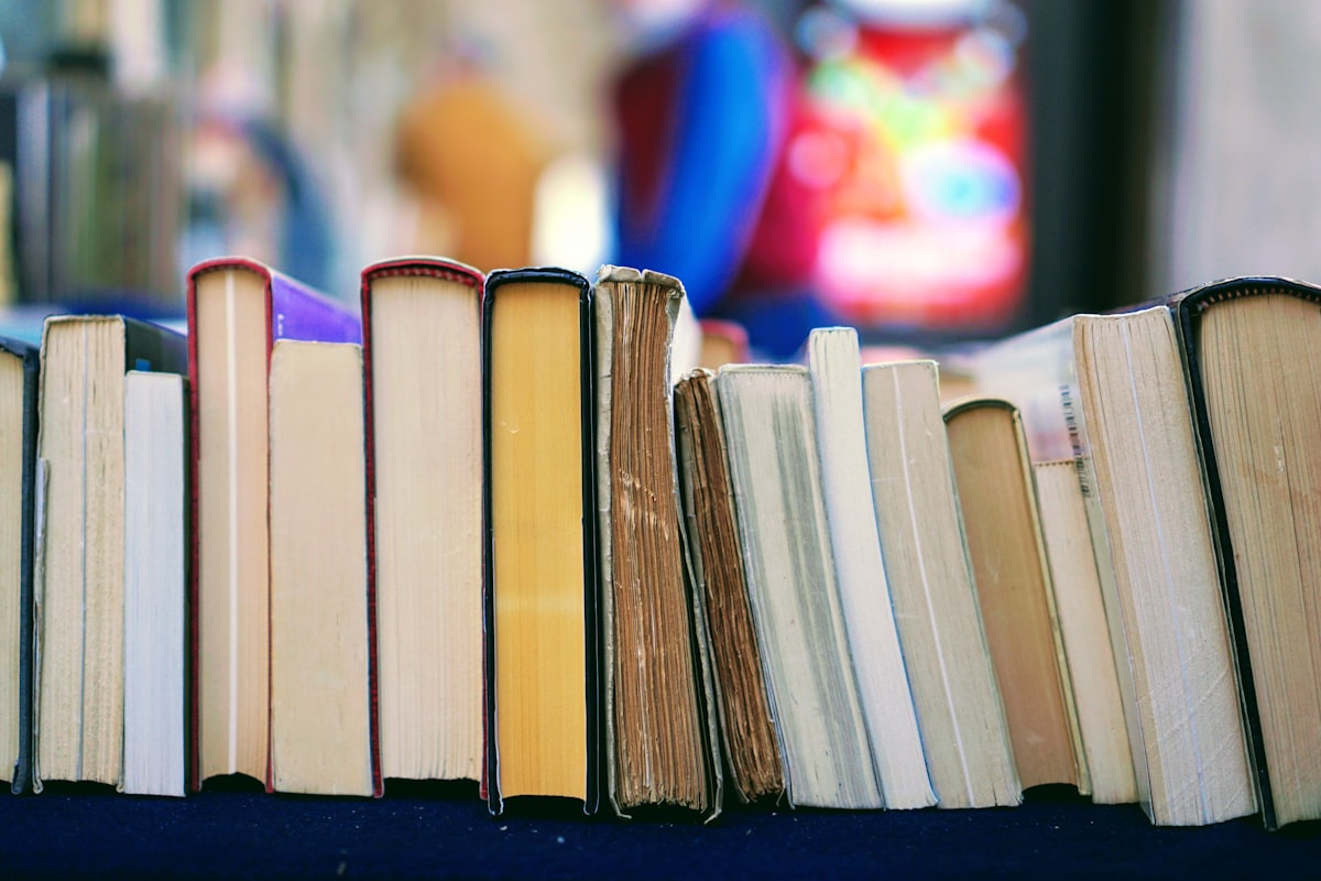 Tall wooden bookshop shelves filled with books